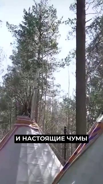📍К юбилеям городов на Ямале разработали новые туристические маршруты