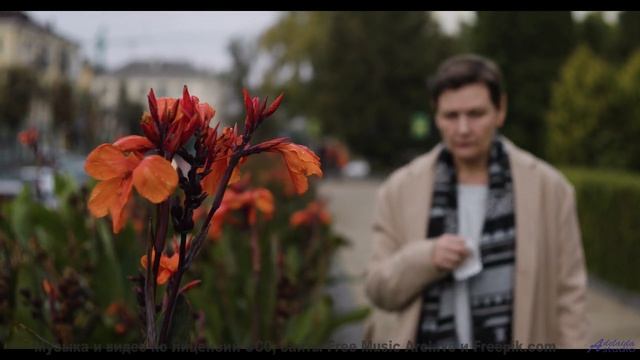 Мелодия ведёт выше облаков без единого шага - Spring + Destroy -- Knit Your Own Scarf -- Spilt Pins