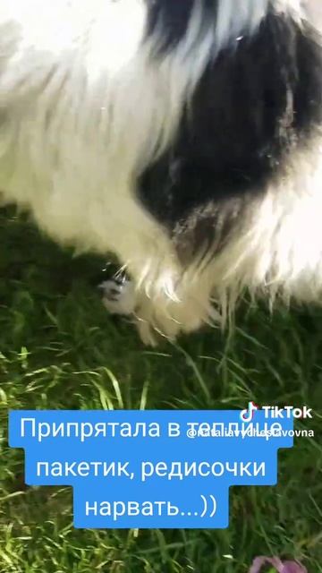 Помогатор...)))
