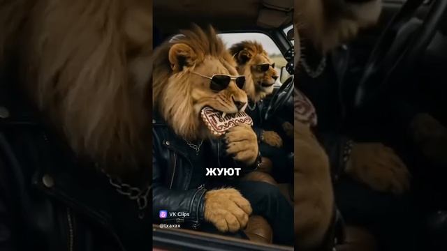 1000007442.mp4