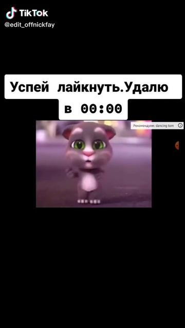 19-06-2025
