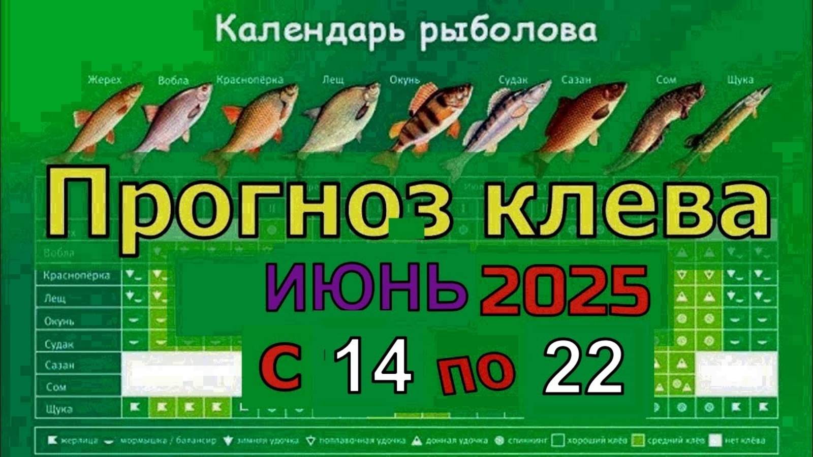 Когда лучше клюет рыба на этой неделе с 14 июня по 22 Июня 2025