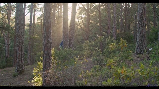 Беспокойство исчезает, когда кадры сменяются под эту мелодию - Odyssey -- Ketsa -- As Above So Below