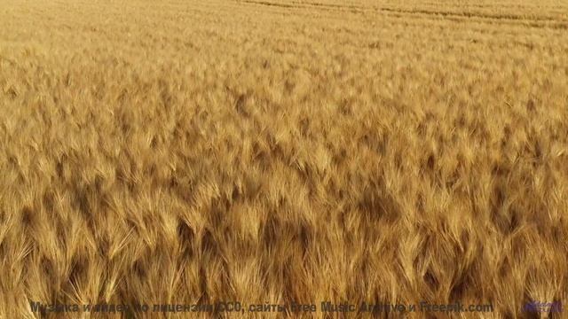 Музыка для поцелуев на крыше машины где-то посреди бескрайних полей - Top Speed -- Kirk Osamayo -- S