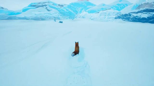 Spirit of the North - прохождение на русском языке #1