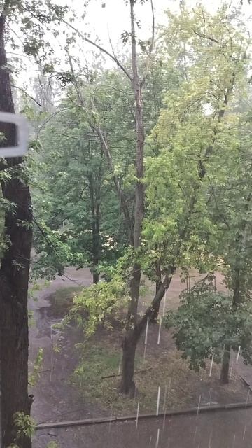 Дождь в Луганске