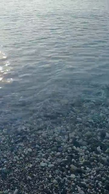 Шум моря.