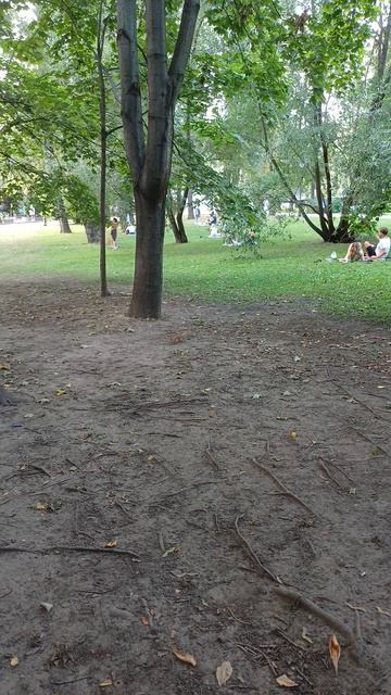 Белочка