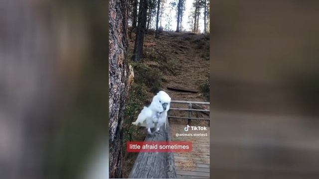 Best video of Tik Tok! 19.06.25 / 01