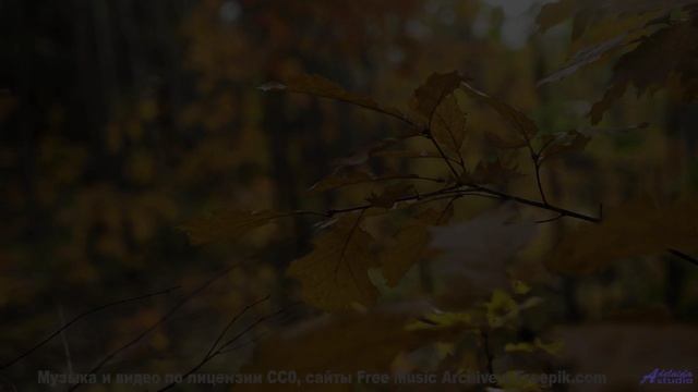 Он затронет струны души, о которых ты даже не подозревал! - Wasting Time -- Duncan Reid and the Big