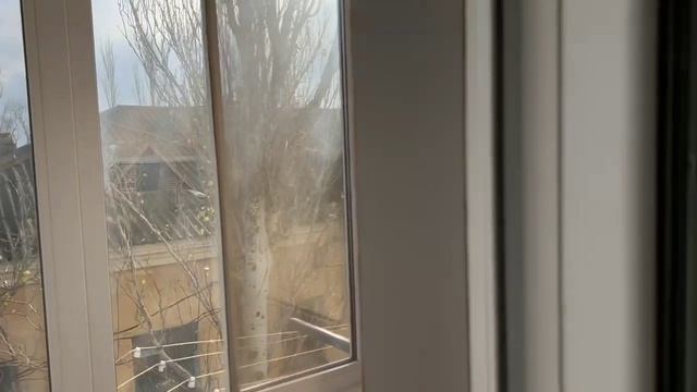 1000092959.mp4