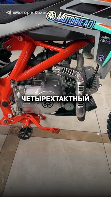 Питбайк БЕЗ сцепления? Motorhead YSA 125 #питбайк #пит #мотоцикл #мото #лето #дача #деревня