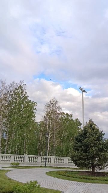 Небо под защитой!