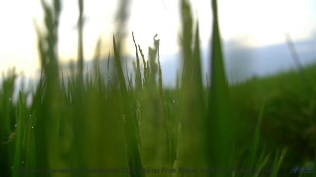 Видео, которое зарядит вас энергией на неделю вперед! - We may be remembered by what we did when we