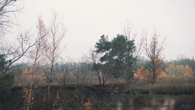 Лесные тропы под эту музыку зовут уйти навсегда - Dragonbreath -- Podington Bear -- Said Lion To Lam