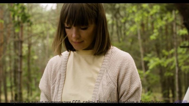 Эти виды под этот звук пробирают до слёз - Never-Give-Up -- Ketsa -- Summer With Sound