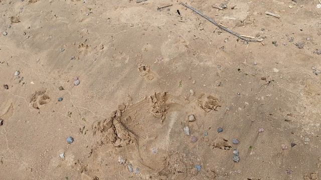 Закон притяжения Изобилия в свою  жизнь ( медитируем, визуализируем ) Как притянуть мечту?🩵🐬🌊💦☀️