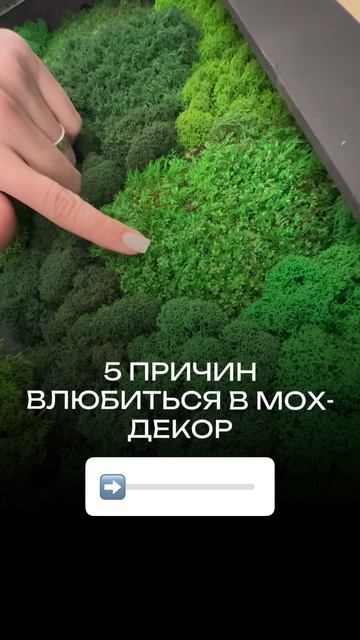 Картина из стабилизированного мха разной фактуры