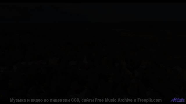 Лес превращается в сказку, стоит лишь включить звук - Legends -- HoliznaCC0 -- Gamer Beats!