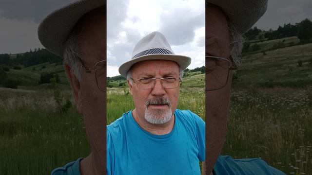 Пора за ягодой