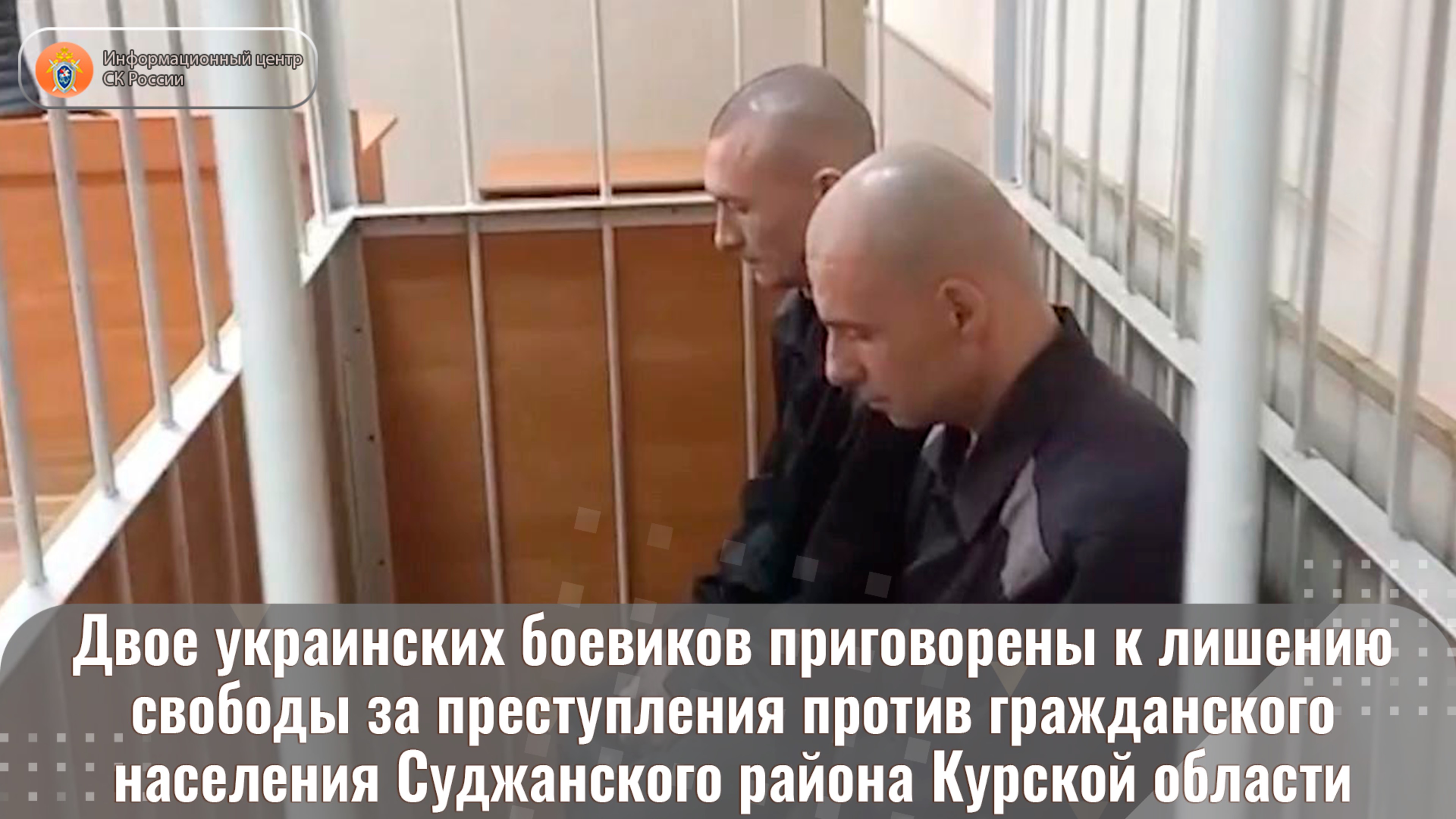 Двое украинских боевиков приговорены к лишению свободы за преступления