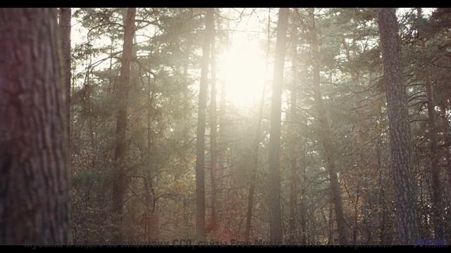 Вы не путешествовали, пока не услышали этот саундтрек! - Further Crimes Of Casio (scuzzy wonky indie