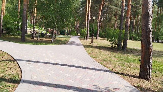 Стоунхендж в лесу