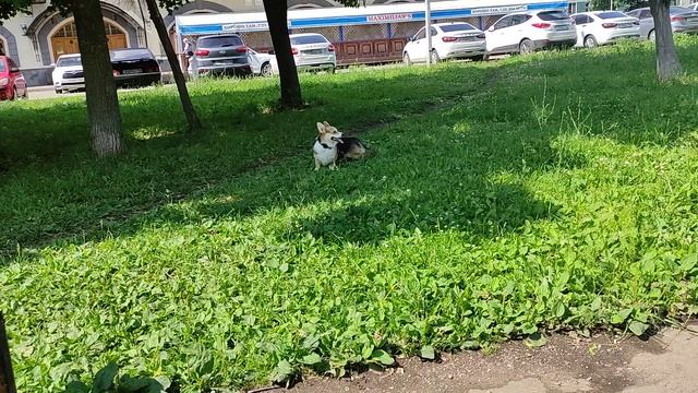 Всё хорошо ма, не переживай, я всегда рядом, не потеряешься ррафф