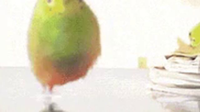 1000001842.mp4