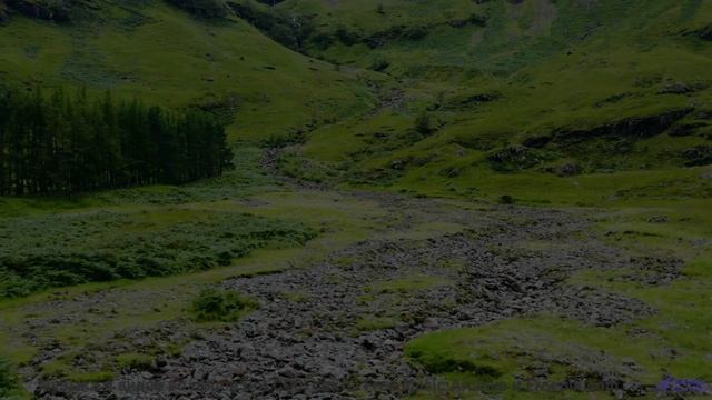 Что произойдет, если смотреть это видео ежедневно - Zach Wolf-01Alive-May 2017-LIVE -- Zach Wolf --