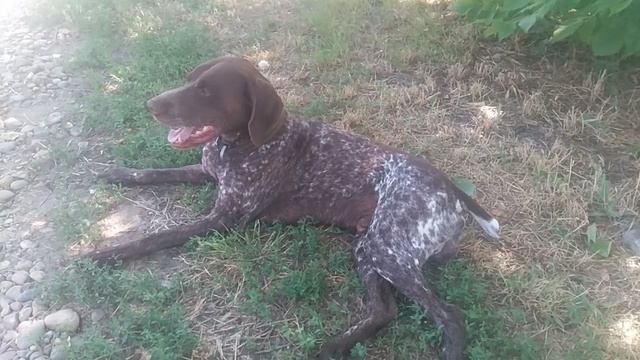 VID_20250619_145059.mp4