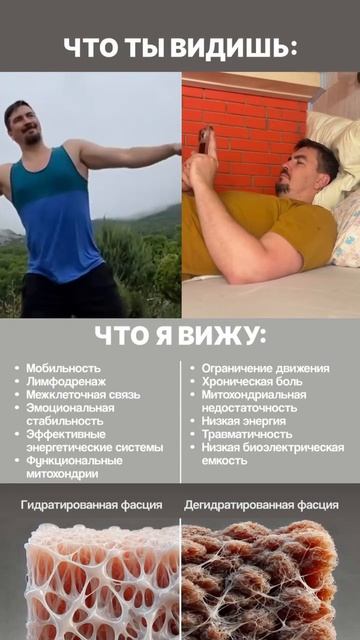 Бесплатный мини-курс по осанке и функциональным тренировкам True Motion