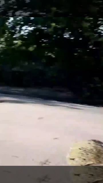 Этим утром Иран снов произвел серию ударов баллистическими ракетами по Израилю.

Удары пришлись по Т