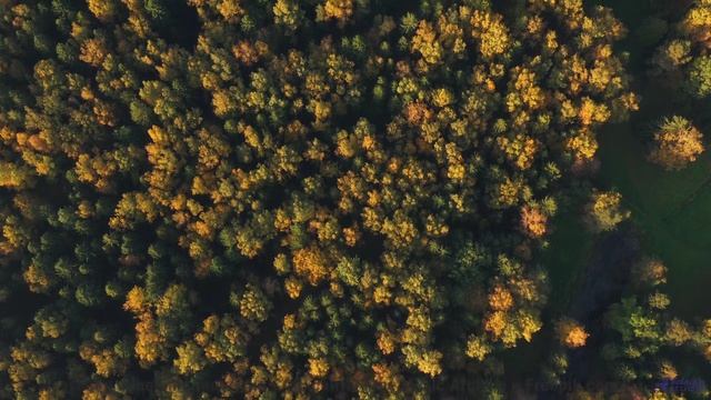 Пейзажи расцветают сильнее вместе с этим треком - Jamaica Jive -- Mr.ruiZ -- Winter Haze, Summer Daz