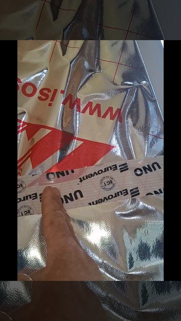 1000026899.mp4 (Собака смотрит на планирование электропроводки на кухне в доме А-фрейм)
