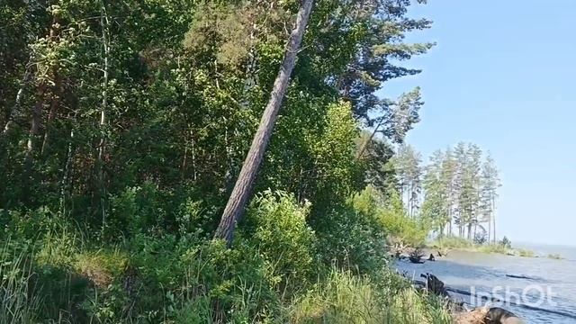 Обь / Каракан /рыбка, уха, жарим /купаемся