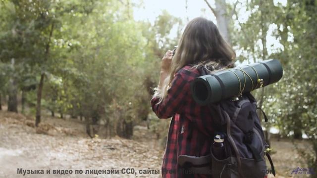 Сердце начинает биться чаще под этот саунд - Social Kapital -- Glad Rags -- Wonder Under