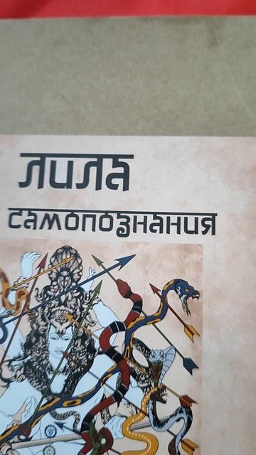 Т-Игра Лила