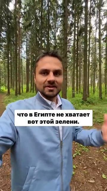 Где лучше, в Египте или в Беларуси?