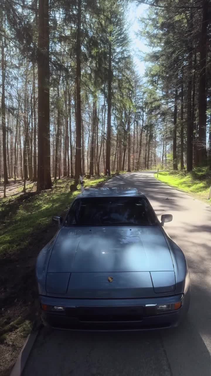 #авто #лес