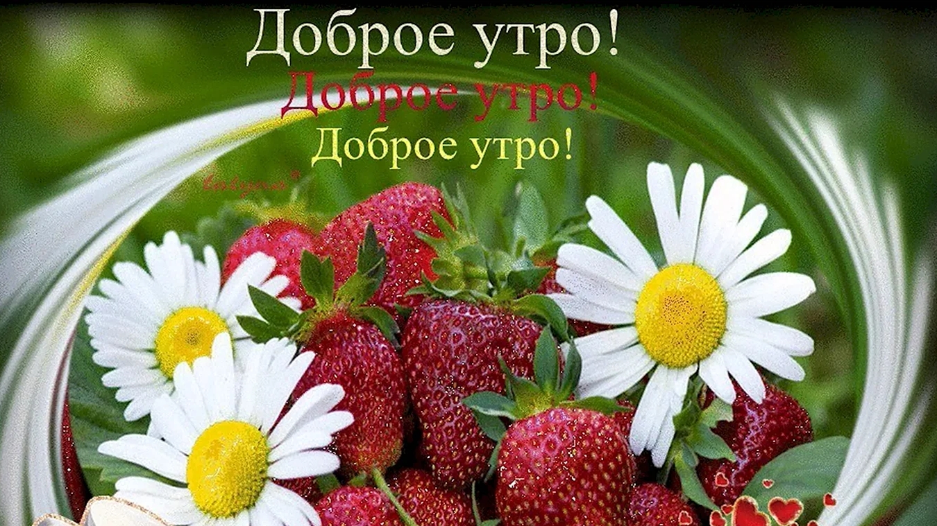 С добрым летним утром!