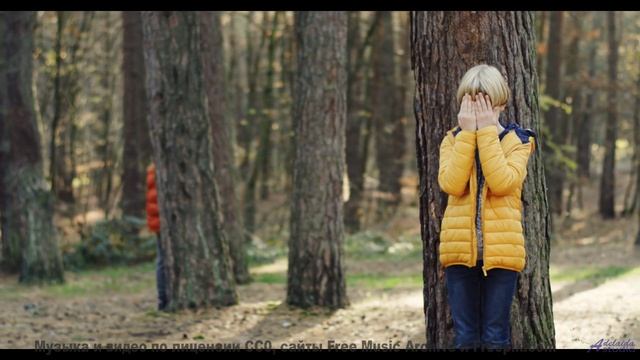 Почему это видео вызывает такие сильные эмоции - Bazaar -- A. A. Aalto -- Fest