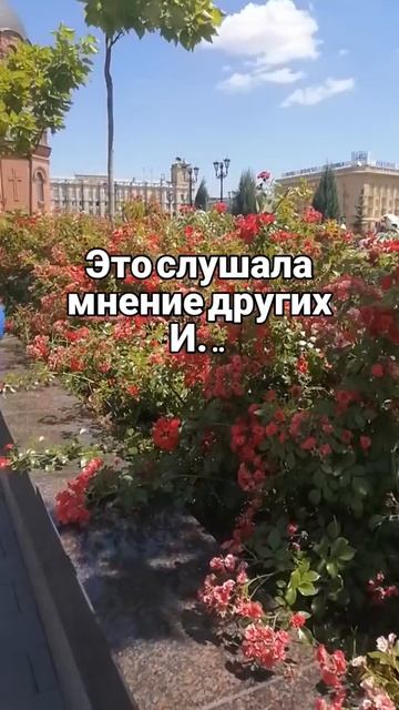 свой в 🅰️льфе
