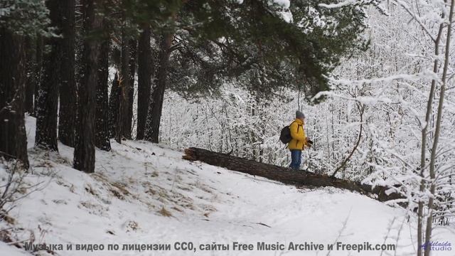 Звуки, от которых сосед перестанет сверлить стену! - Сосудосуженный (feat. Amokyo) -- Александр Неду