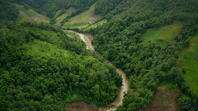 Когда дорожные знаки менее важны, чем её смех под эту песню - Hare Krisha (Praise the Lord) ft. Bill