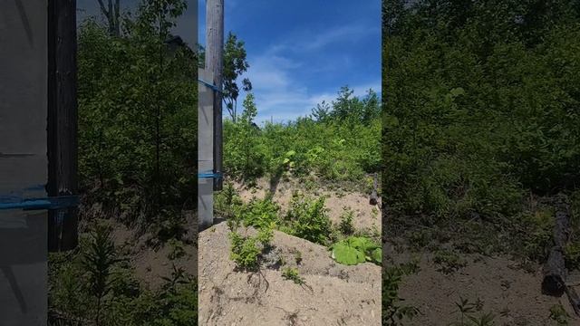 днт молдаванка. ижс 11 сот