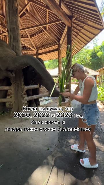 С каждым годом все веселее)