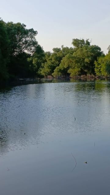 речка в деревне