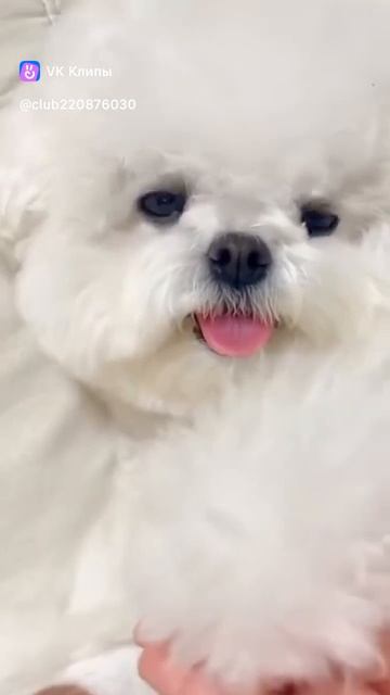 🎶