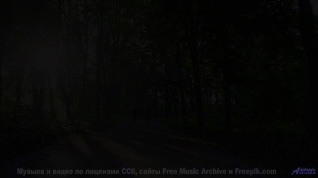 Погружение в природу становится полным благодаря мелодии - Faults and All -- 10 Echo -- Unnamed albu